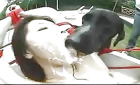 Petite asian k9 blowing two cocks