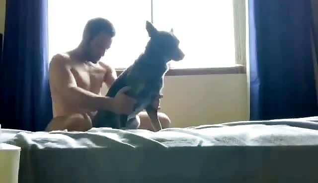 Guy Fucking his female dog in hotel