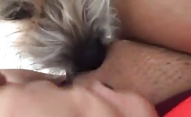 licking pussyyy