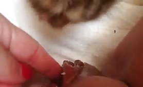 kitten licking coconut oil of my clit and pussy lips 5