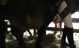 woman fucked by pony