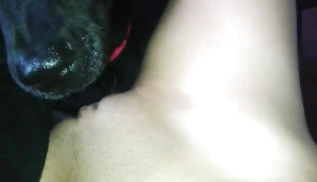 Nataly licked by her sisters dog - ZooSkool Videos - Bestial
