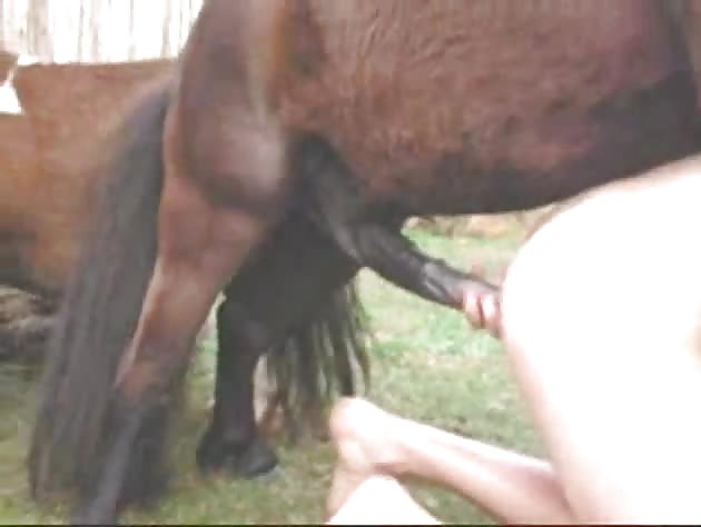 Beast sex loving man maneuvers perfect so his horses big cock slides in his wanting ass