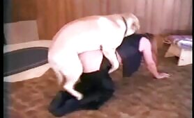Friskys Doggy Showdown