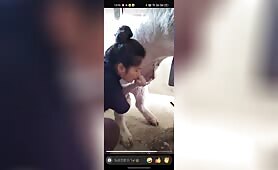 Asian Girl With Pig