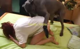 woman fucked by big dog Animal_Passion_-_Julia_And_Gerda