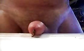 Worm in cock