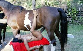 Horses and Girls  107