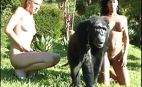 Abebonanca