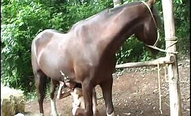 Puling deep - EXCLUSIVE LEGASY