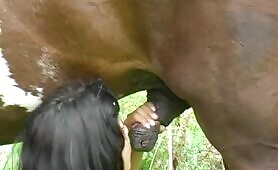 A girl and a horse - EXCLUSIVE LEGASY