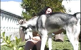 A girl and a dog - EXCLUSIVE LEGASY