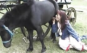 My Pony Time - EXCLUSIVE LEGASY