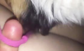 licking teen pussy while asleep