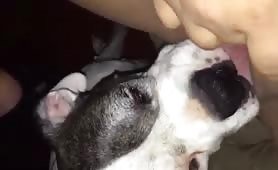 dog loves licking wet pussy
