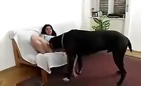 bbw getting licked out by her dog