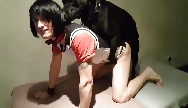 Alternative twink boy fucked by family dog and suck it