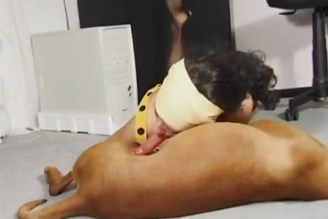 at home she start to suck her dog dick with passion - AnimalPorn Beastiality Videos