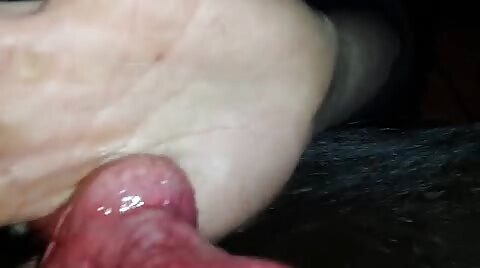 sucking dogs cock part 1