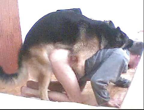 hoy young guy gets fucked by a dog