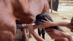 Valeria y Coral - Milk Heaven