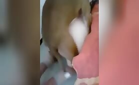 girl let her dog rape her ass [girl-let-her-dog-rape-her-ass]