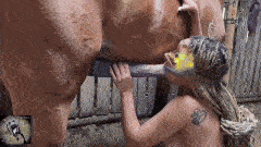 Mia – Horse Balls