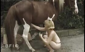 Zoo Delight - Horny Horse Sex
