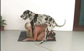 Zoo Delight - My Soft Bud And My Dog