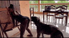Agatha – My Cuckold Fantasy