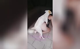 MoonlieK9 – She does it again