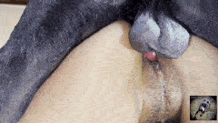 Xiomara – Hot Student, doggy joy