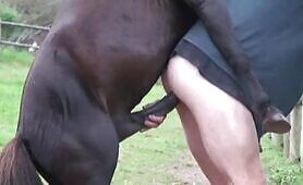 The Morning Ritual - Stallion fucks guy