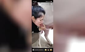 Xi Xia - HUGE COMPILATION Boar Fun