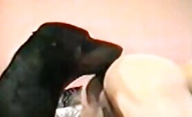 73441 horny at home