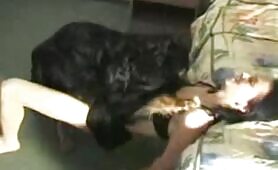 77253 dog fuck