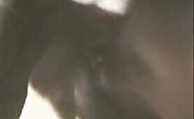85566 amazing dog suck