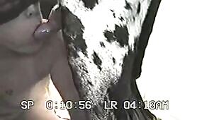 88519 girl sucking dog cock