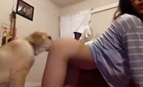 asian gets pussy licked