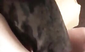 97907 knotty moist cunt for a hungry animal