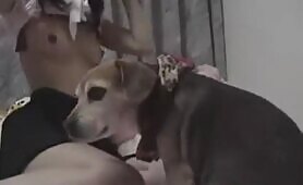 58122 japanesegirl dog