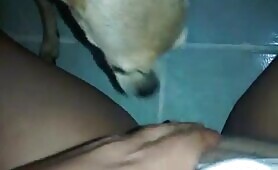 66708 lick bbw4