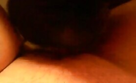 68155 dog loves licking pussy