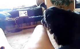 70786 redheaded girl with dog 2