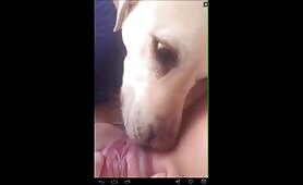 72455 another orgasm from doggie
