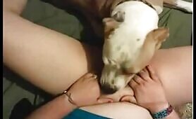 74459 dog getting afternoon snack