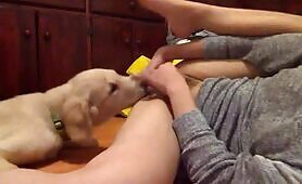 asian eaten out by dog part 3