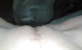 florence my french dog lover