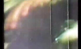 88957 danish dog sex