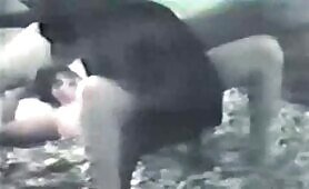 89185 vintage dog sex